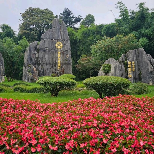 Getting Lost in the Wild Shapes of Shilin Stone Forest Getting Lost in the Wild Shapes of Shilin Stone Forest
