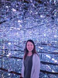 Enchanting World of Digital Art— TeamLab Borderless Tokyo 