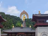 🙏 The Grand Donglin Buddha: A Place for Sincere Prayers ✨