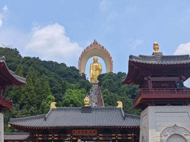 🙏 The Grand Donglin Buddha: A Place for Sincere Prayers ✨
