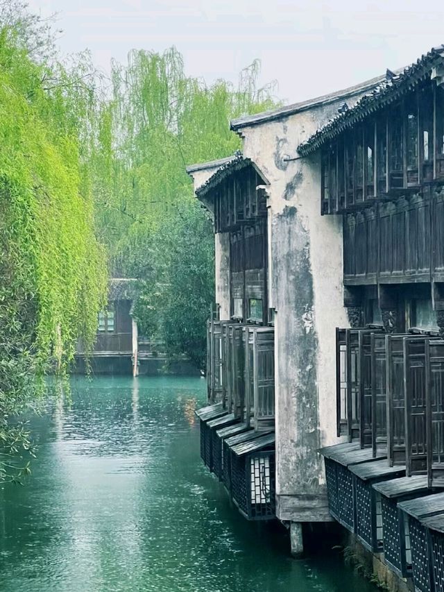 Beyond the Bridges: Discovering Wuzhen