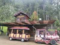 Family bond in dahilayan