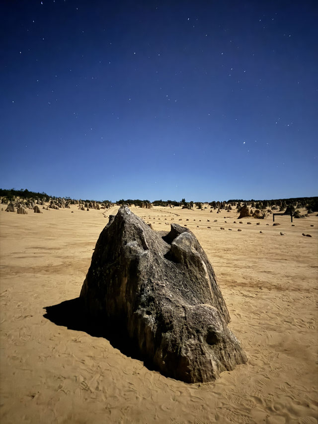 Pinnacles Desert- Out of this world view