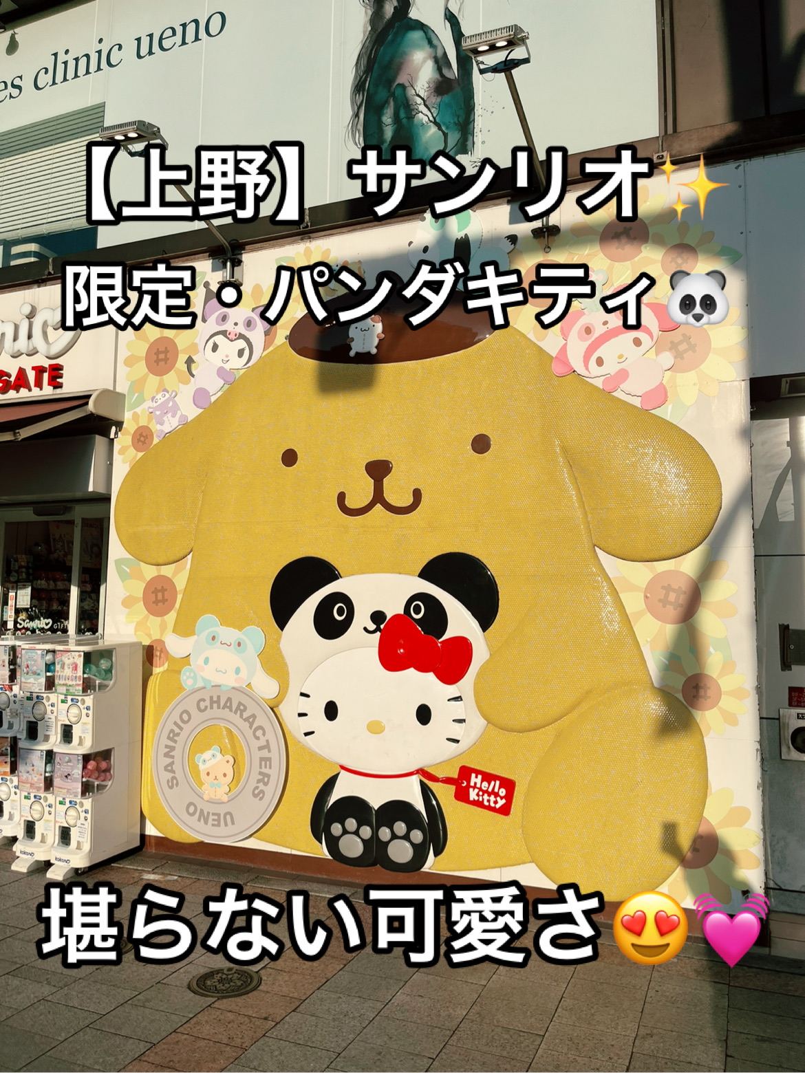 ✨【上野】限定パンダキティに目がハート😍🐼💖サンリオギフト