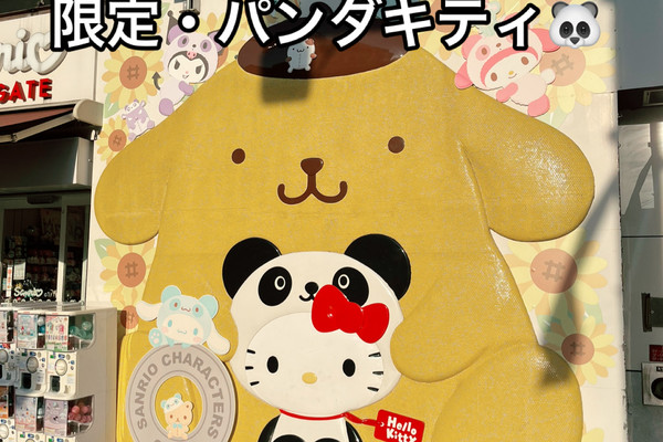 ✨【上野】限定パンダキティに目がハート😍🐼💖サンリオギフトゲート