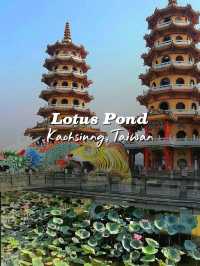 Lotus Pond: A Serene Escape in Kaohsiung