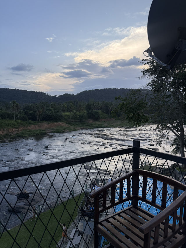 能看大象沐浴🛁的酒店🏨 旅程中最有愛的活動