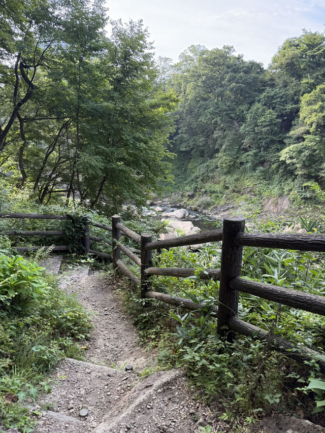 🌿 磊々峡(らいらいきょう)|秋保温泉そばの“恋人の聖地”渓谷さんぽ 🌿 磊々峡(らいらいきょう)|秋保温泉そばの“恋人の聖地”渓谷さんぽ