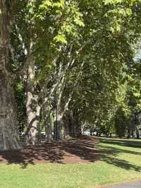 【Carlton Gardens｜墨爾本的歐式綠肺】