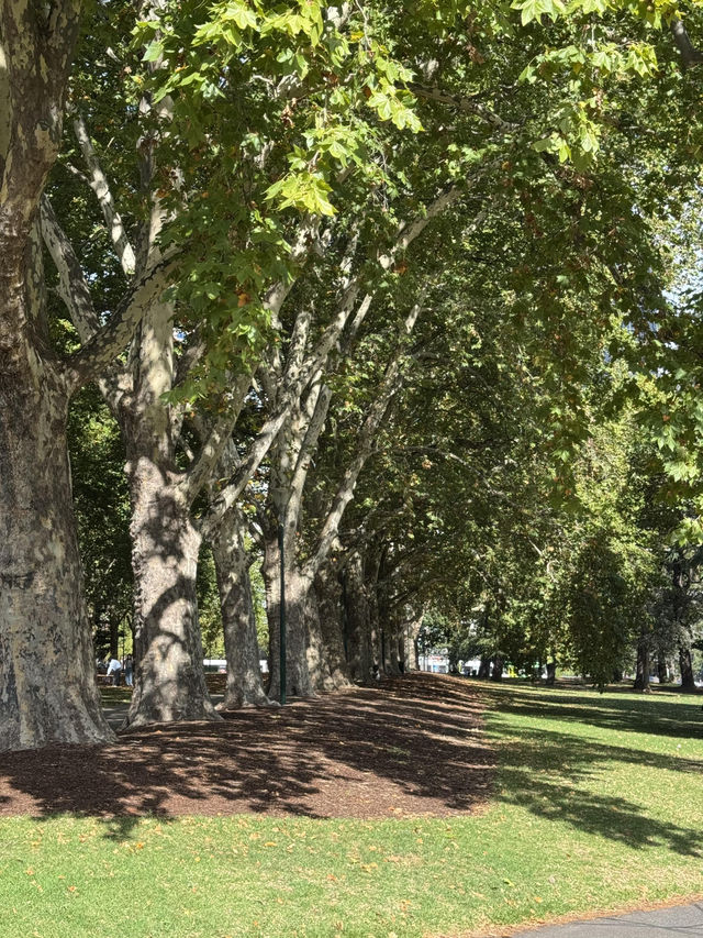 【Carlton Gardens｜墨爾本的歐式綠肺】