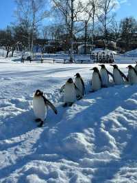 【旭川動物園｜北海道的雪國奇趣樂園】