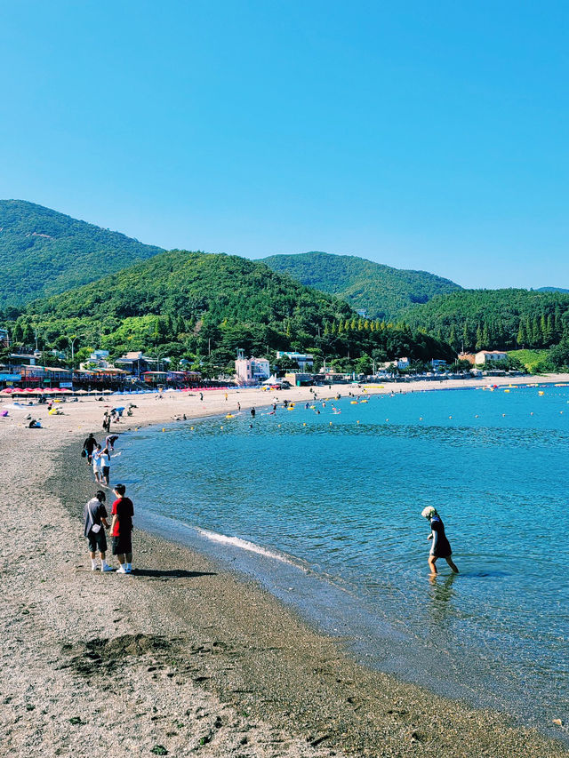 📍여수 만성리 검은모래해변&아쿠아플라넷🐠🐬✨