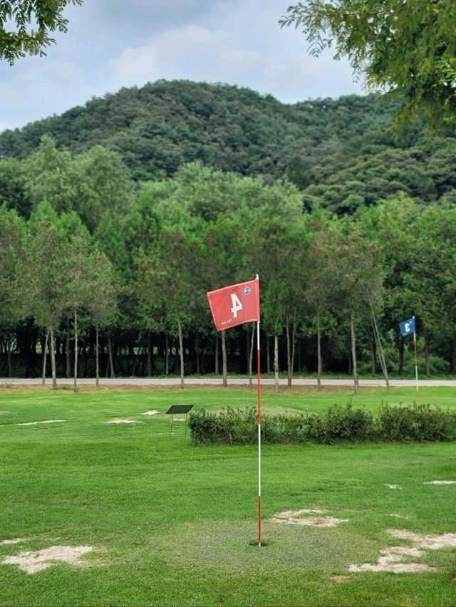 꽃놀이하고 힐링하기 딱인 화천 여행지🩷