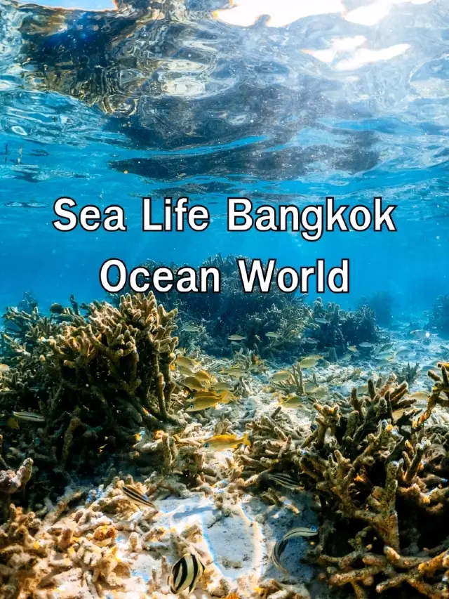 SEA LIFE Bangkok Ocean World@สยามพารากอน