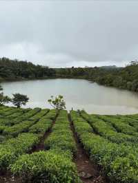 Experiencing the Breathtaking Landscape of Mauritius