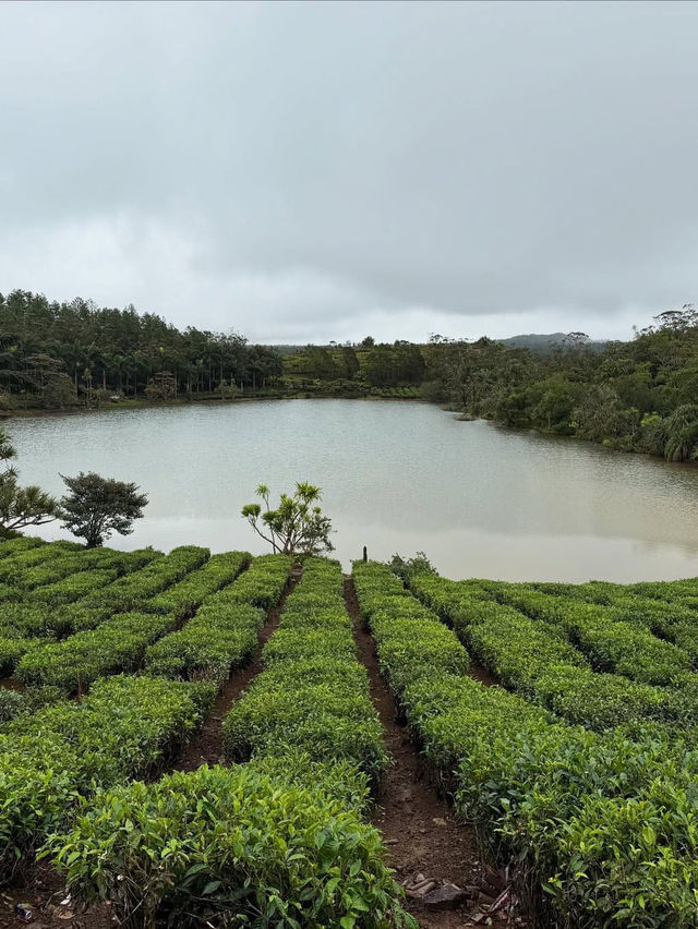 Experiencing the Breathtaking Landscape of Mauritius
