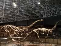 The Great Wall of Dragon Bones