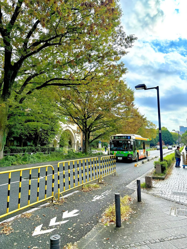 【东京大学｜学术殿堂与历史光影】