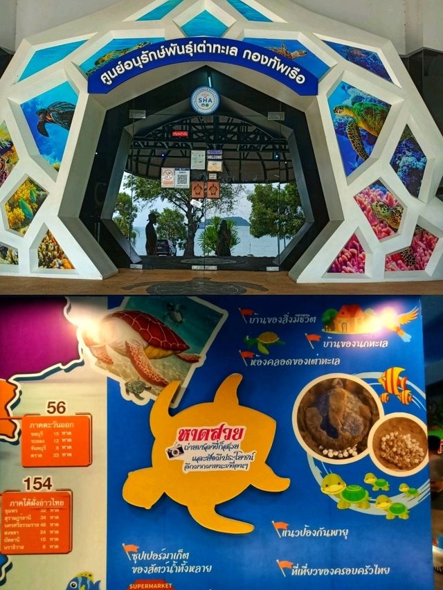 เต่าน้อย ที่เที่ยวสำหรับเด็กห้ามพลาด