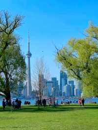 🇨🇦 Toronto: Canada’s Multicultural Metropolis