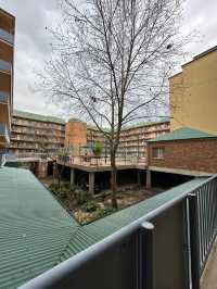 澳洲阿得雷德、墨爾本+新加坡親子遊