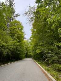Sunnybrook Park – A Green Oasis in Toronto