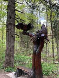 Crawford Lake Conservation Area – Nature and History Intertwined