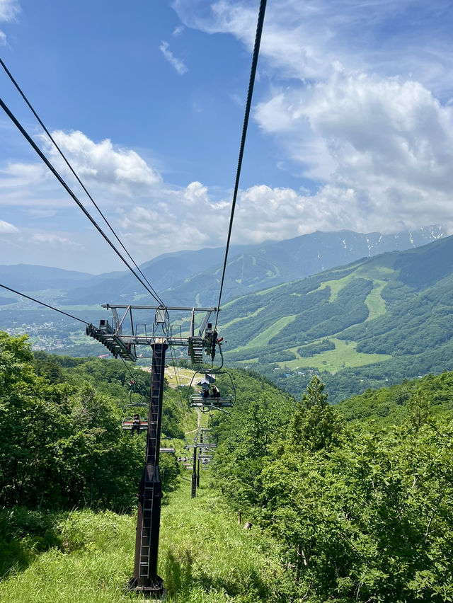 【長野の自然に癒され旅🌿】長野で絶対行きたい場所