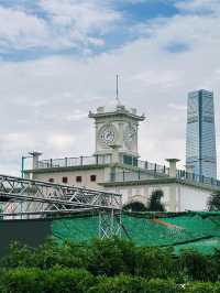 The Hong Kong Observation Wheel