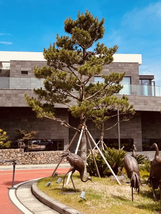 Modern Ocean Stay✨