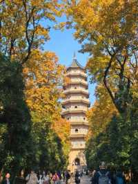 🍂 Missing autumn in Nanjing is like missing the soul of October.