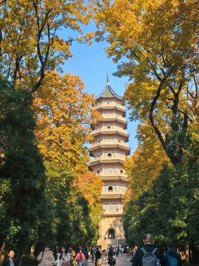 🍂 Missing autumn in Nanjing is like missing the soul of October.