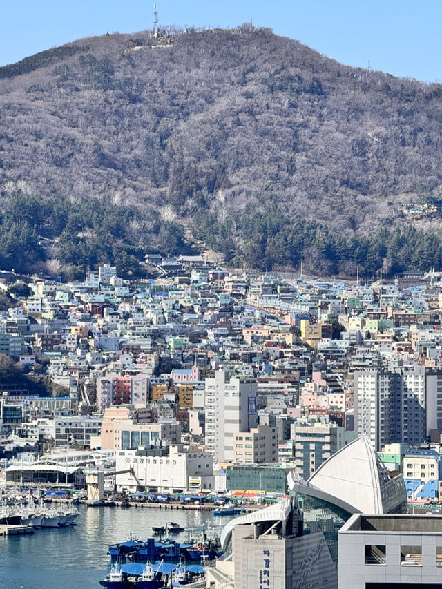 令人驚喜的巨濟島一日遊