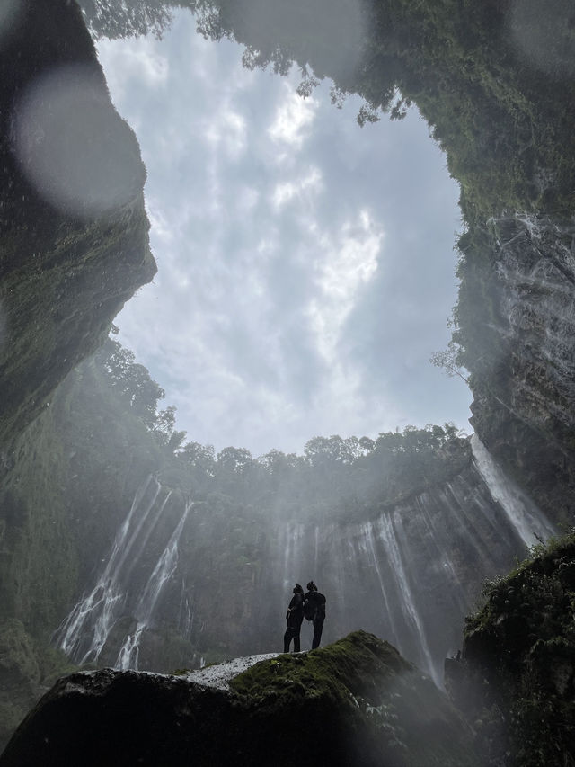 Jungle Escape🌿
