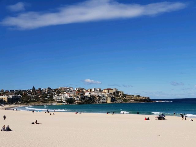 From Opera House Views to Golden Beaches — Discovering Sydney