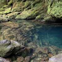 Kahurangi National Park – Epic Wilderness & Hidden Wonders of Te Wai Pounamu