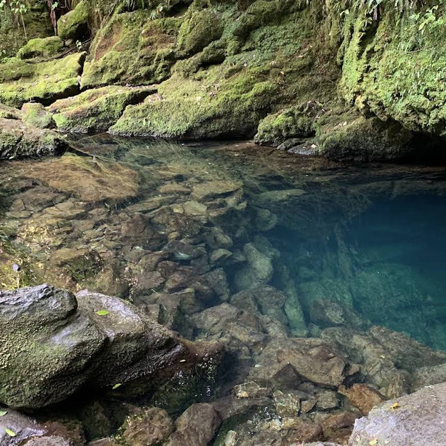 Kahurangi National Park – Epic Wilderness & Hidden Wonders of Te Wai Pounamu