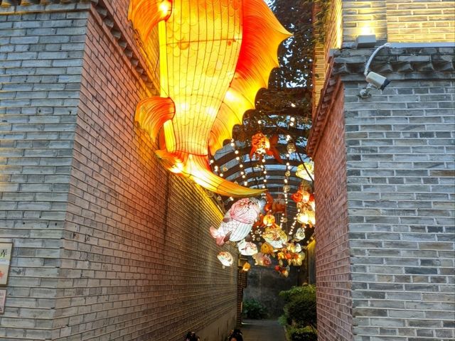 Wander Old Fuzhou🌙