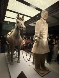 🏺 Meeting the Army of Eternity – Terracotta Warriors