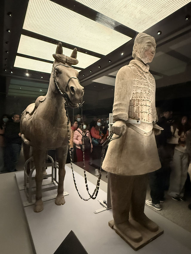 🏺 Meeting the Army of Eternity – Terracotta Warriors 🏺 Meeting the Army of Eternity – Terracotta Warriors