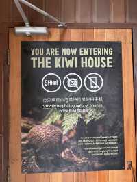 ไปดูนกกีวี่ ไอคอนของนิวซีแลนด์ตัวจริงที่ Kiwi Park