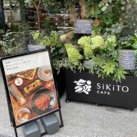 【東京/日本橋🇯🇵】四季の植物に囲まれ心と体が癒される🪴SiKiTO CAFE