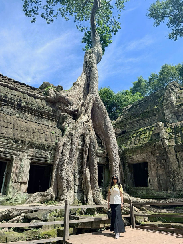 Angkor Wat Glow🌅   Angkor Wat Glow🌅