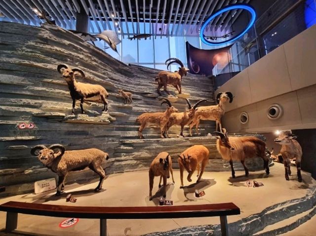 上海 | 上海自然博物館：不只博物館，根本是「後現代地球史詩」！