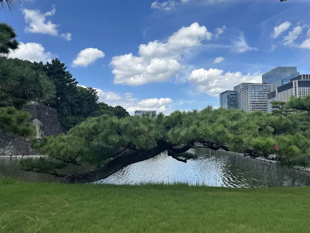 Imperial Palace East National Gardens