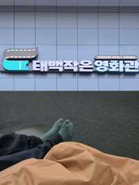 태백작은영화관 데이트 🍋아이와 함께한 포근한 영화 시간