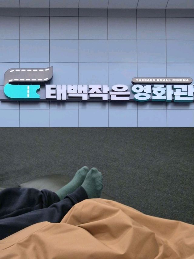 태백작은영화관 데이트 🍋아이와 함께한 포근한 영화 시간