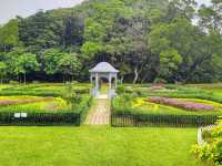 🌳 Green Retreat: Aberdeen Country Park