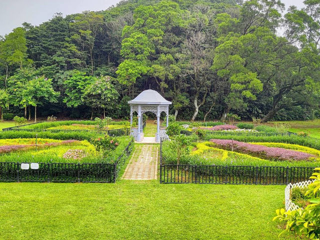 🌳 Green Retreat: Aberdeen Country Park