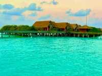 Milandhoo Island Maldives Hotel – A Hidden Gem for Peace Seekers